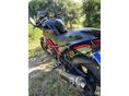 DUCATI MONSTER 695 2007/6 - 8