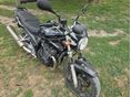 SUZUKI GSF 650 S 