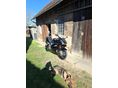 HONDA VFR 800 