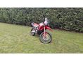 HONDA CRF 300 RALLY 