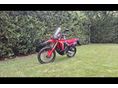 HONDA CRF 300 RALLY 2023/12 - 3