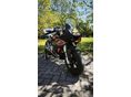OHVALE GP-O 110 4S 2024/5 - 6