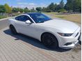 FORD MUSTANG Fastback 5.0 Ti-VCT V8 GT (Automata)