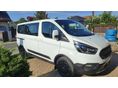 FORD TRANSIT 2023/3 - 2