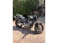 HONDA CB 600 F (HORNET) 2003 - 2