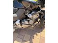 HONDA CB 600 F (HORNET) 2003 - 5