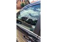 MERCEDES-BENZ A 170 2008/10 - 4