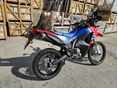 HONDA CRF 300 RALLY 2025/9 - 2