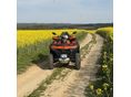CFMOTO CFORCE 850 2026/3 - 3