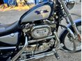 HARLEY-DAVIDSON SPORTSTER 1200 CUSTOM 2001/10 - 3