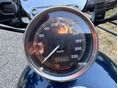 HARLEY-DAVIDSON SPORTSTER 1200 CUSTOM 2001/10 - 4