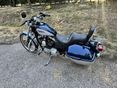 HARLEY-DAVIDSON SPORTSTER 1200 CUSTOM 2001/10 - 6