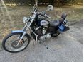 HARLEY-DAVIDSON SPORTSTER 1200 CUSTOM 2001/10 - 9