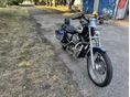 HARLEY-DAVIDSON SPORTSTER 1200 CUSTOM 2001/10 - 12
