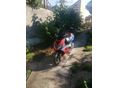 APRILIA SR 50 2006 - 5