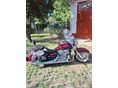 HONDA VT 750 2004 - 5