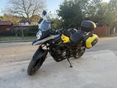 SUZUKI DL 650 