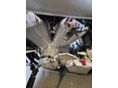 HONDA SHADOW 750 2010/3 - 4