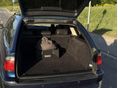BMW 530 2000/7 - 12