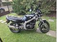 SUZUKI GS 500 E 