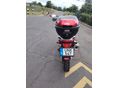 SUZUKI XF 650 (FREEWIND) 1997/2 - 10