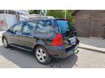 PEUGEOT 307 1.6 Symbole