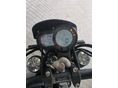 BENELLI LEONCINO 500 2023 - 2