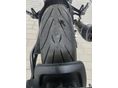 BENELLI LEONCINO 500 2023 - 3