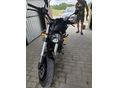 BENELLI LEONCINO 500 2023 - 6