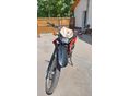 APRILIA RX 50 2004/4 - 8