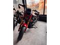 INDIAN SCOUT 2024/10 - 12