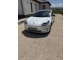 TESLA MODEL 3 2020/3 - 2