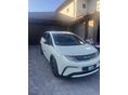 BYD DOLPHIN Design 60,4kWh