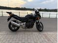 HONDA CBF 600s