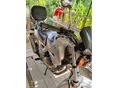 HONDA CBF 250 2006/3 - 3