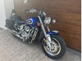 SUZUKI VZ 800 (MARAUDER) 2001/2 - 3