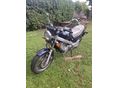 HONDA NTV 650 1990/8 - 3