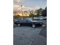 FORD RANCHERO 1979/5 - 14