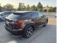 LEXUS RX 2018/11 - 3