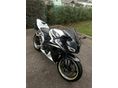 HONDA CBR 600 RR Pc 40