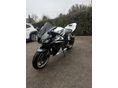 HONDA CBR 600 RR 2007/4 - 2
