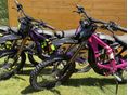SUR-RON LIGHT BEE X 2026/2 - 2
