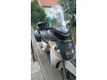 APRILIA SCARABEO 500 2005/5 - 4