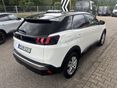 PEUGEOT 3008 2019/10 - 12