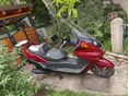 YAMAHA YP 250 MAJESTY 1996/5 - 2