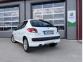 PEUGEOT 206 2009 - 5