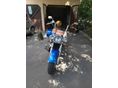 SUZUKI VL 800 (INTRUDER) 2006/5 - 3