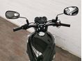 KAWASAKI W 800 2025 - 5