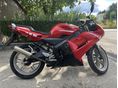YAMAHA TZR 50 