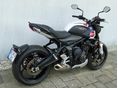 TRIUMPH TRIDENT 2024/10 - 3
